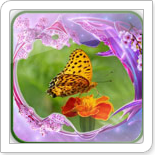 Tổng hợp những ứng dụng hay cho Samsung Wave (Bada) phần 4. IconImage 20100822165146746 NEW WEB ICON 155 155 Tổng hợp những ứng dụng hay cho Samsung Wave (Bada) phần 4.