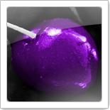 ColoriZe Trial