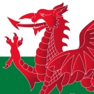 Welsh Flag
