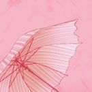 Lovely Pink