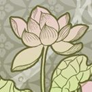 淡粉莲彩2