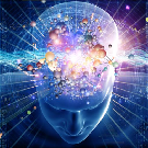 Brain Training