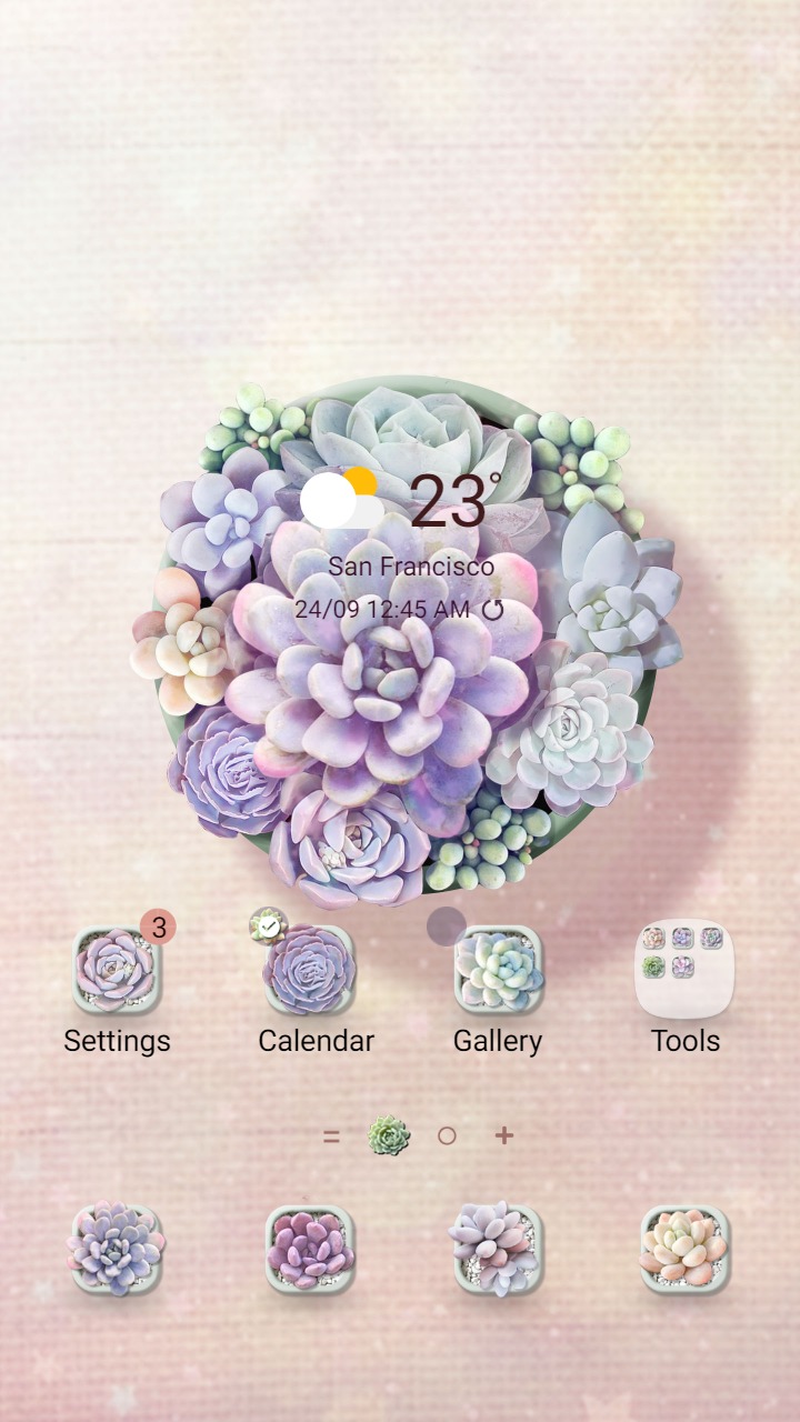 ❤️Mun❤️ Succulent plant ~❤️ Premium Theme colorful stone lotus pots